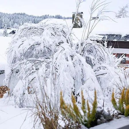 Alpen Art Apartment Oberstaufen
