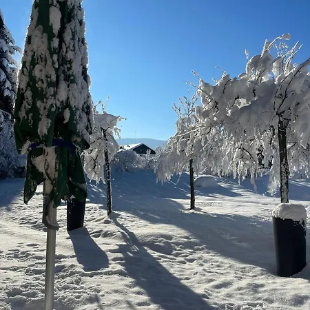 Alpen Art Oberstaufen