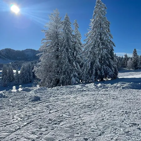 Apartment Alpen Art Oberstaufen